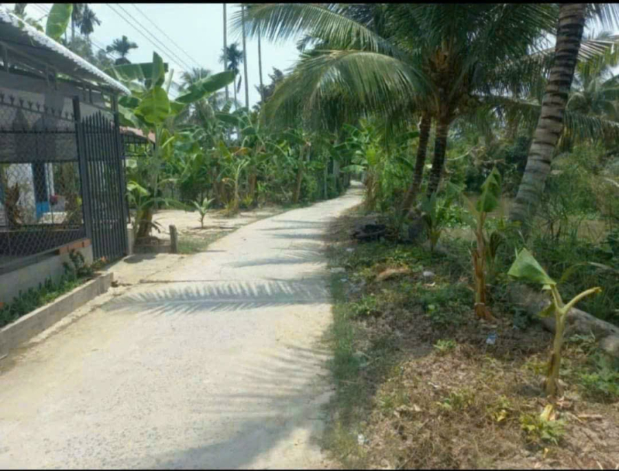 Nền gần chợ Long Thạnh - Hậu Giang - 250 triệu