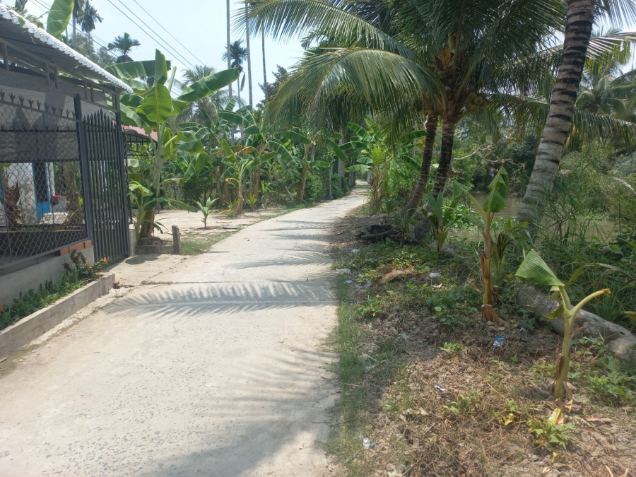 Nền gần chợ Long Thạnh - Hậu Giang - 250 triệu