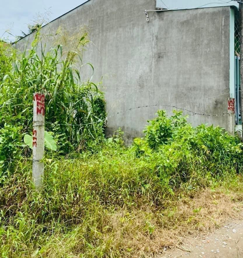 Nền Thổ Cư 100%  Gần chợ Cái Chanh - 500Triệu