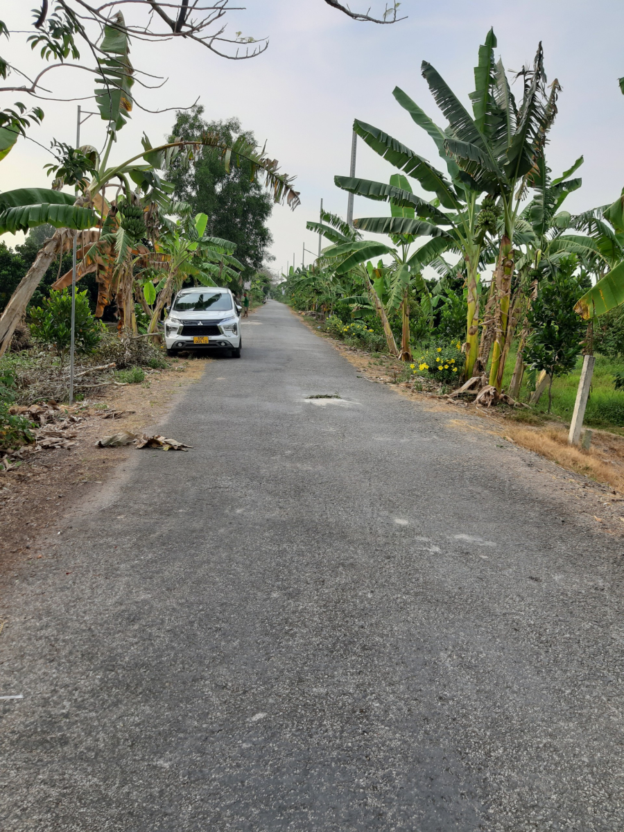 Bán 10 công đất mặt tiền lộ Vàm Bi - Phong Điền - Cần Thơ