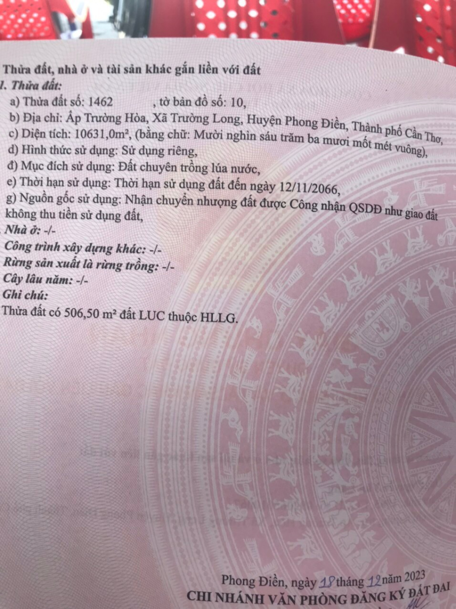 Bán 10 công đất mặt tiền lộ Vàm Bi - Phong Điền - Cần Thơ