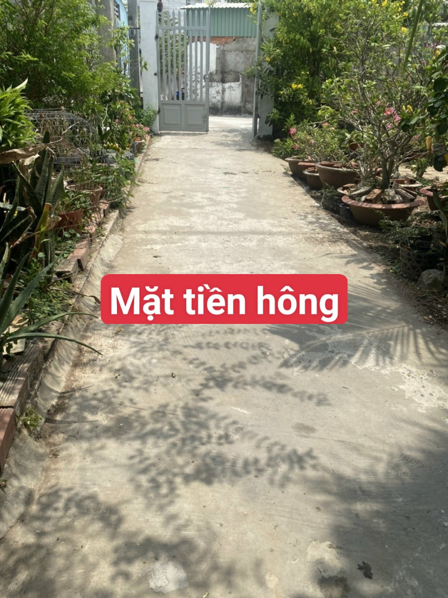 Chủ gửi 🌟Bán Nhà hẻm 29 đường Nguyễn Thông