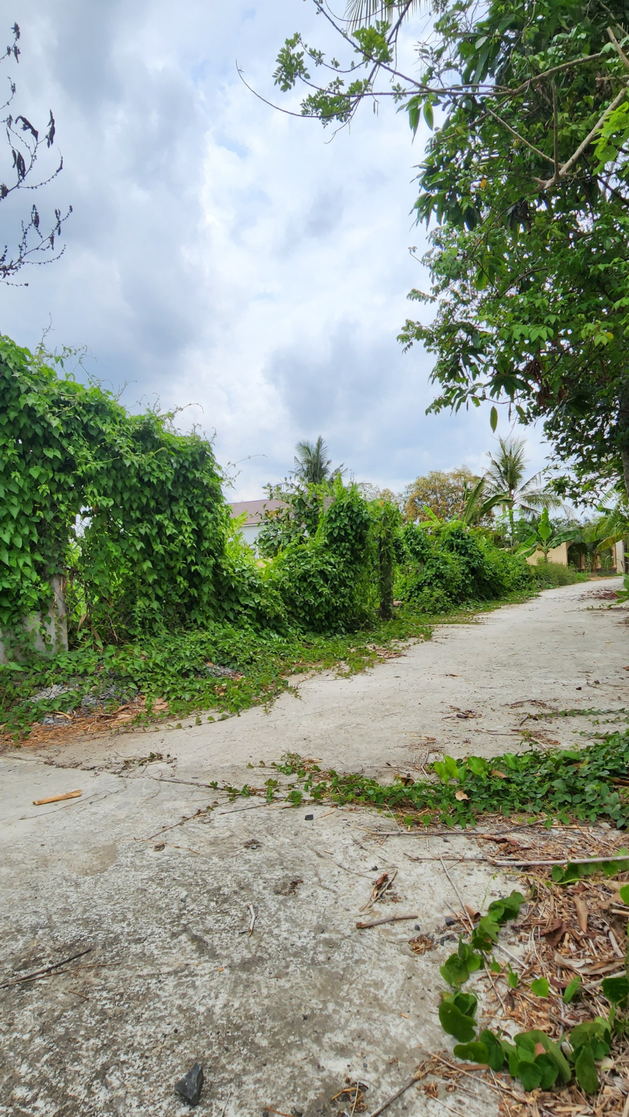 Bán miếng đất 2.200m2 có 200m2 ODT - Mỹ Khánh, Phong Điền, Cần Thơ