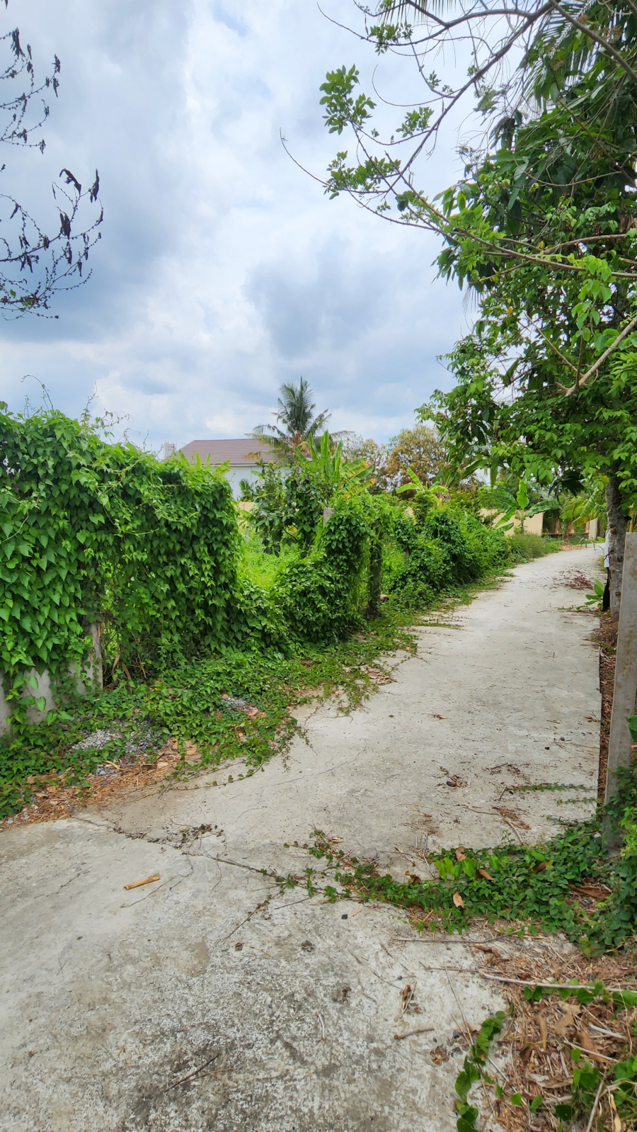 Bán miếng đất 2.200m2 có 200m2 ODT - Mỹ Khánh, Phong Điền, Cần Thơ