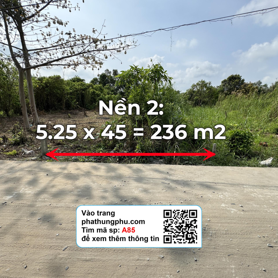 Nền 200 m2 có thổ cư - Giá từ 650 triệu