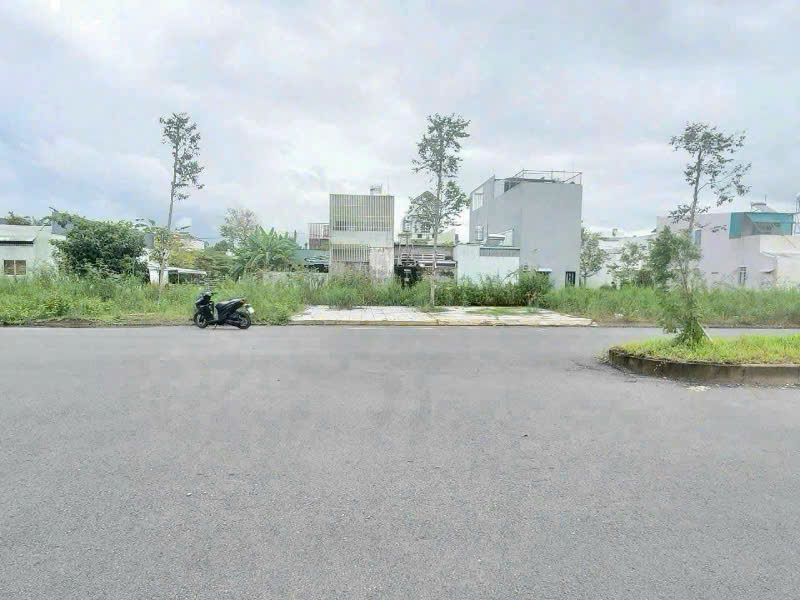 Nền đẹp trục chính D1 Hồng Loan 6A