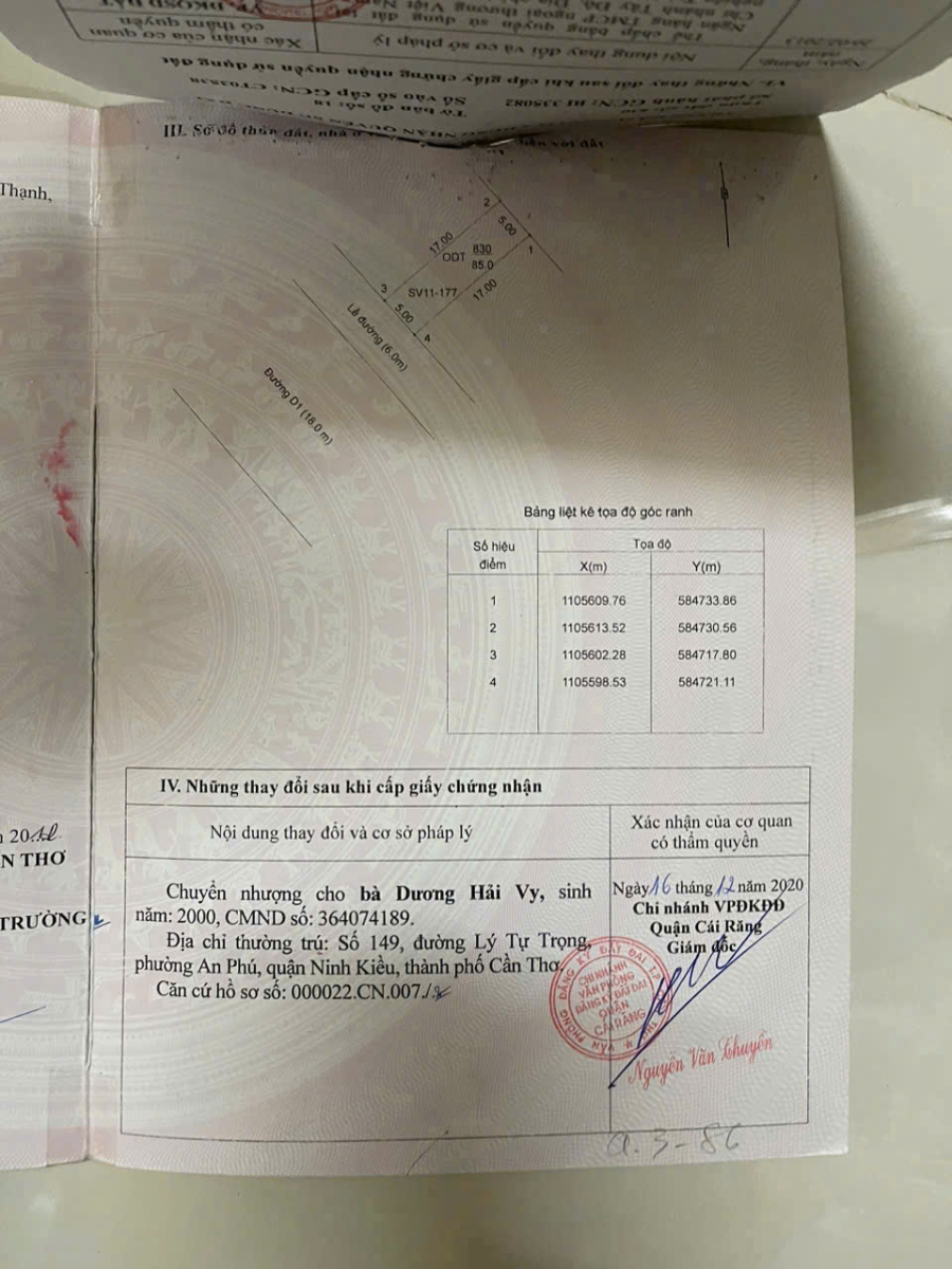 Nền đẹp trục chính D1 Hồng Loan 6A