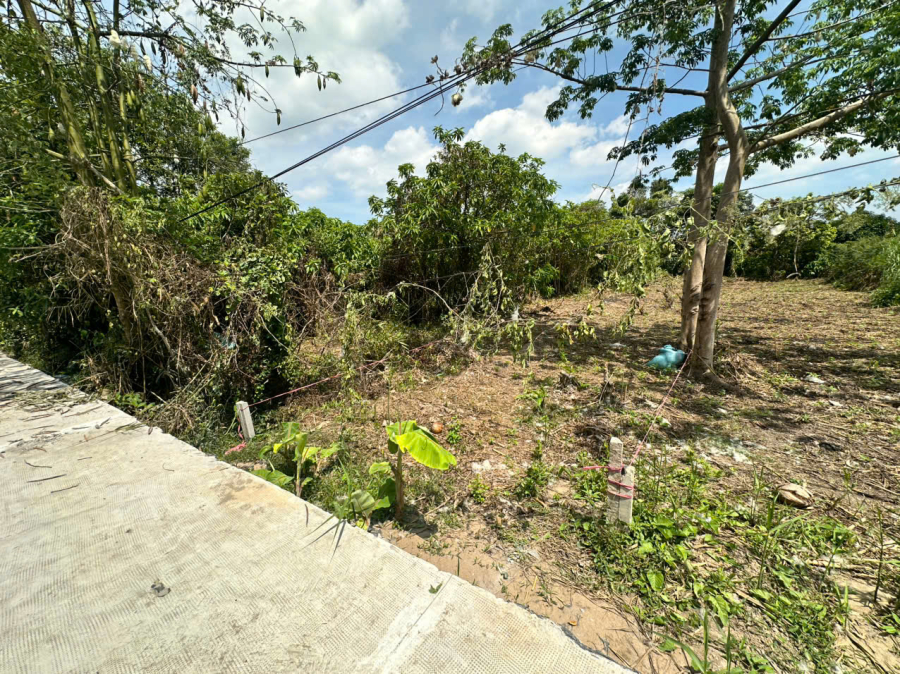 Gần 300m2, có sẵn 80m2 thổ cư lên thêm dễ dàng