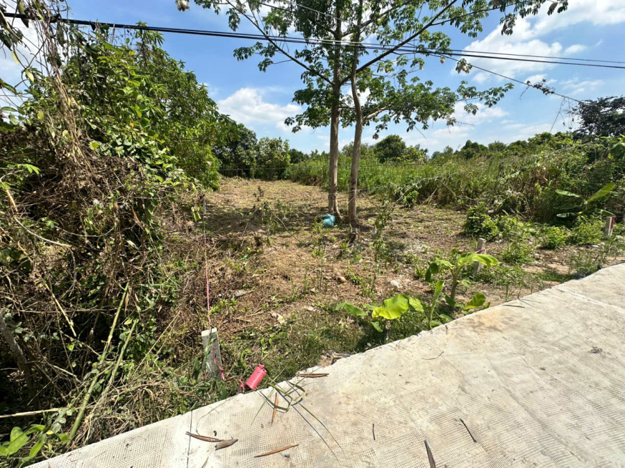 Gần 300m2, có sẵn 80m2 thổ cư lên thêm dễ dàng