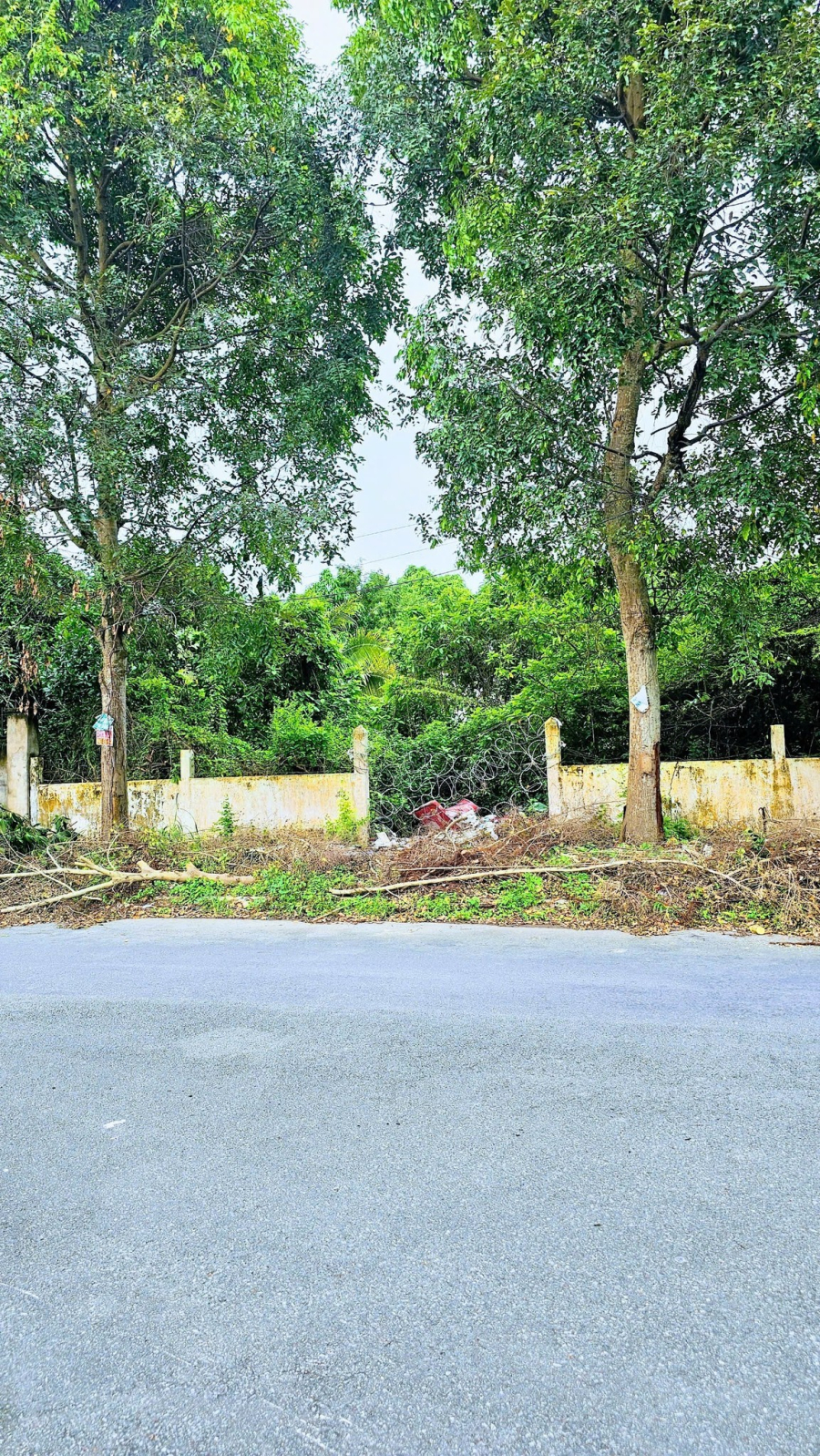 Nền biệt thự 400 m2 KDC 586 - Sổ hồng